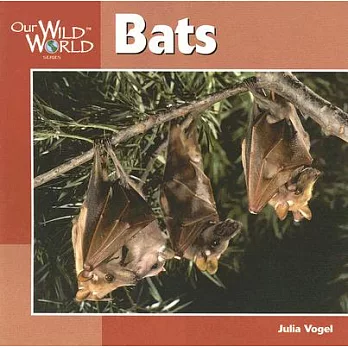 Bats