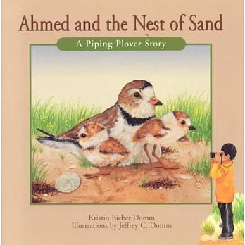 Ahmed and the Nest of Sand