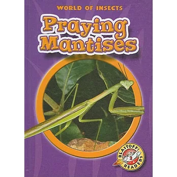 Praying mantises /