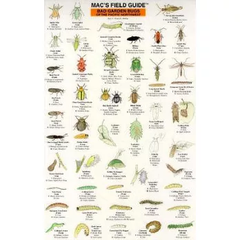 Mac’s Field Guide: Bad Garden Bugs of the Pacific Northwest : Good Garden Bugs of the Pacific Northwest