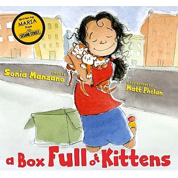 A Box Full of Kittens