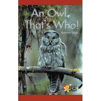 An Owl, That’s Who!