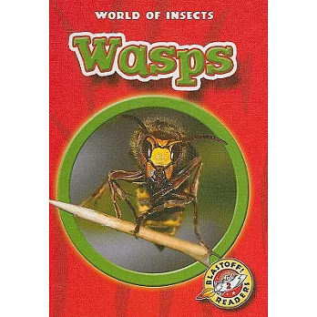 Wasps /