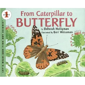 From caterpillar to butterfly /