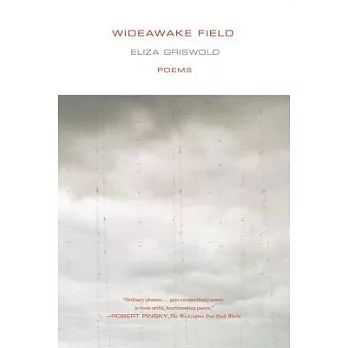 Wideawake Field