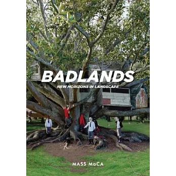 Badlands: New Horizons in Landscape