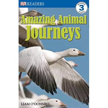 DK Readers L3: Amazing Animal Journeys