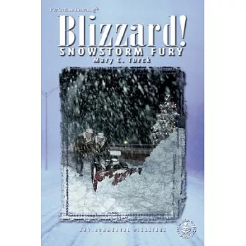 Blizzards Snowstory Fury