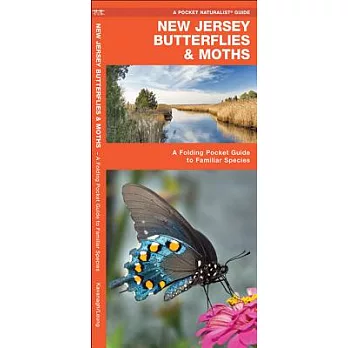 New Jersey Butterflies & Moths: An Introduction to Familiar Species