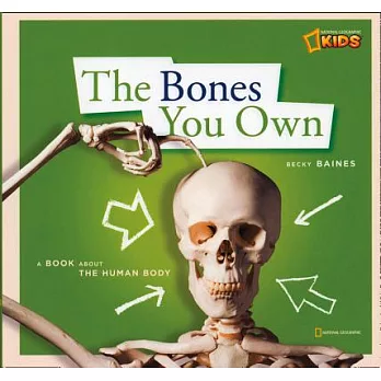 The Bones You Own: A Book About the Human Body