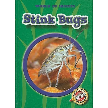 Stink bugs /