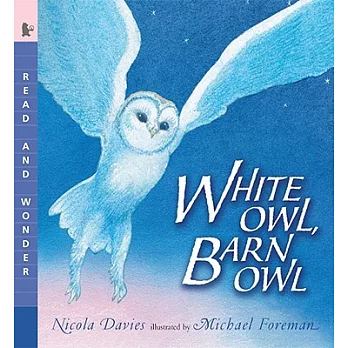 White owl, barn owl /