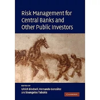 Risk Management for Central Banks and Other Public Investors