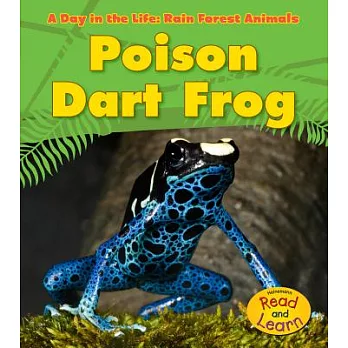 Poison dart frog /