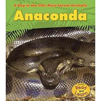 Anaconda /