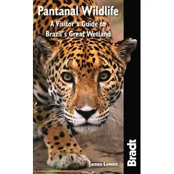 Pantanal Wildlife: A Visitor’s Guide to Brazil’s Great Wetland