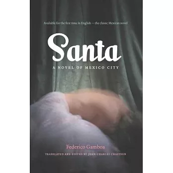 Santa: A Novel of Mexico City