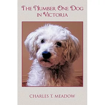 The Number One Dog in Victoria