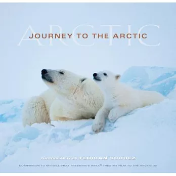 Journey To The Arctic