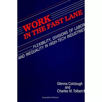 Work in the Fast Lane: Flexibility, Divisions of Labor, and Inequality in High-Tech Industries