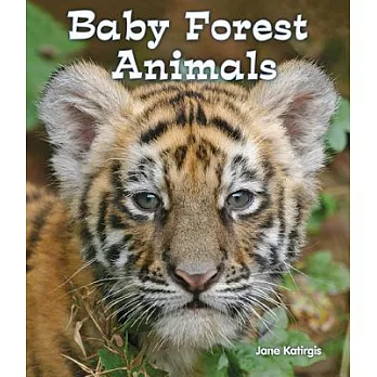 Baby Forest Animals