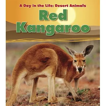 Red kangaroo /