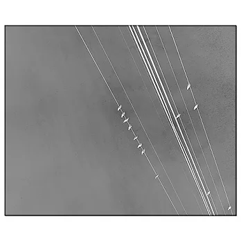 Tooth For An Eye: A Chorography of Violence in Orleans Parish