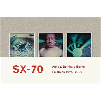 SX-70: Polaroids et collages de Polaroids 1975-2000