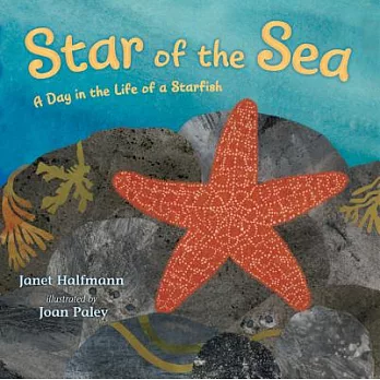 Star of the sea : a day in the life of a starfish
