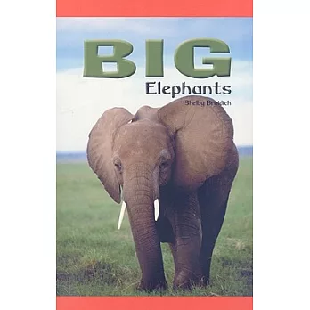 Big Elephants