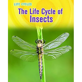 The Life Cycle of Insects