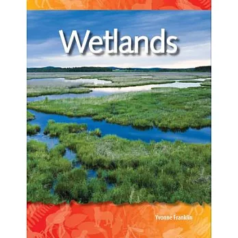 Wetlands /