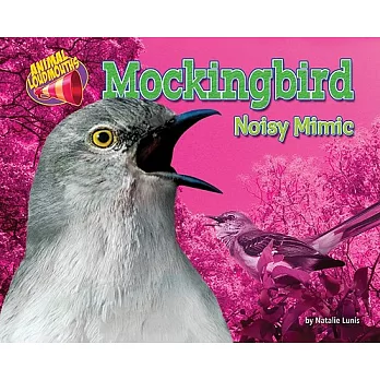 Mockingbird: Noisy Mimic