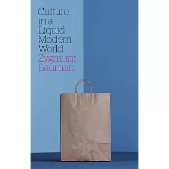 Culture in a Liquid Modern World
