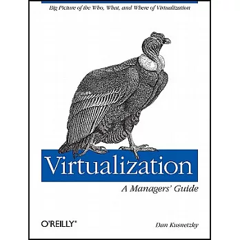 Virtualization: A Managers’ Guide