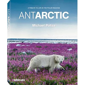 Antarctic: A Tribute to Life in the Polar Regions