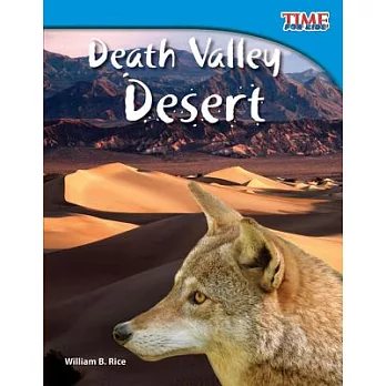 Death Valley Desert (Fluent Plus)