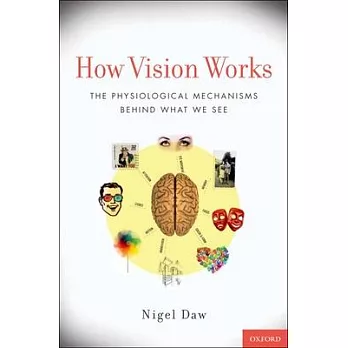 How Vision Works: The Physiological Mechanisms Behind What We See