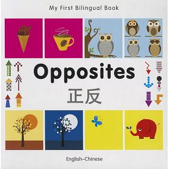 Opposites English-chinese