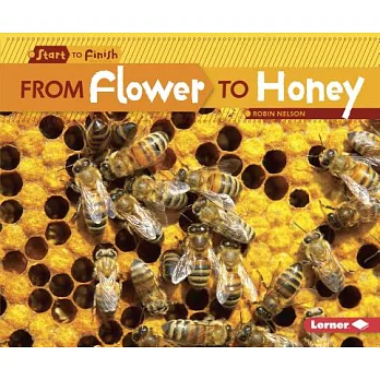 From Flower to Honey