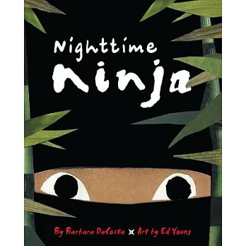 Nighttime Ninja /