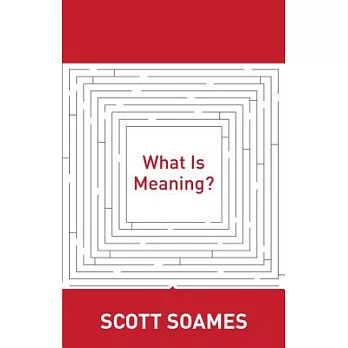 What Is Meaning?