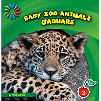 Jaguars /
