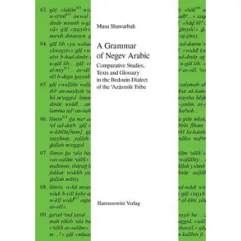 A Grammar of Negev Arabic: Comparative Studies, Texts and Glossary in the Bedouin Dialect of the ’Azazmih Tribe