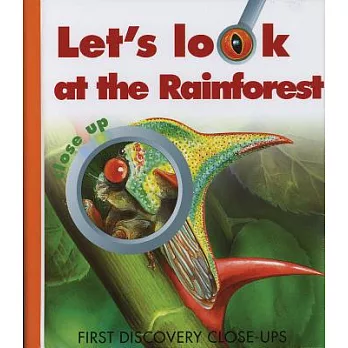 Let’s Look at the Rainforest