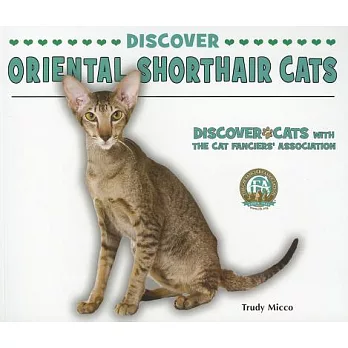 Discover Oriental Shorthair Cats