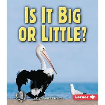 Is It Big or Little?