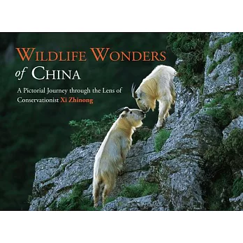 Wildlife Wonders of China: A Pictorial Journey Through the Lens of Conservationist Xi Zhinong
