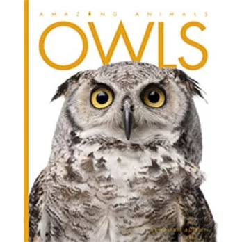 Owls /