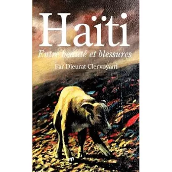 Haiti: Entre Beaute Et Blessures
